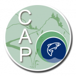 Logo for CAP no text